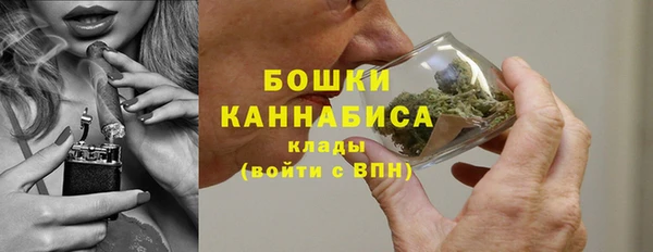 apvp Арсеньев