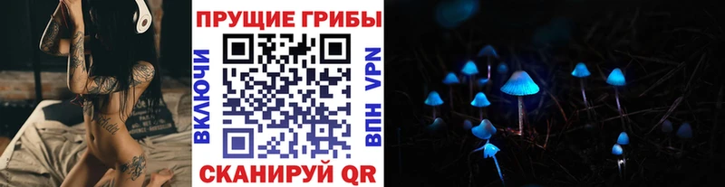 Галлюциногенные грибы мицелий  купить  цена  hydra ссылка  Удачный 
